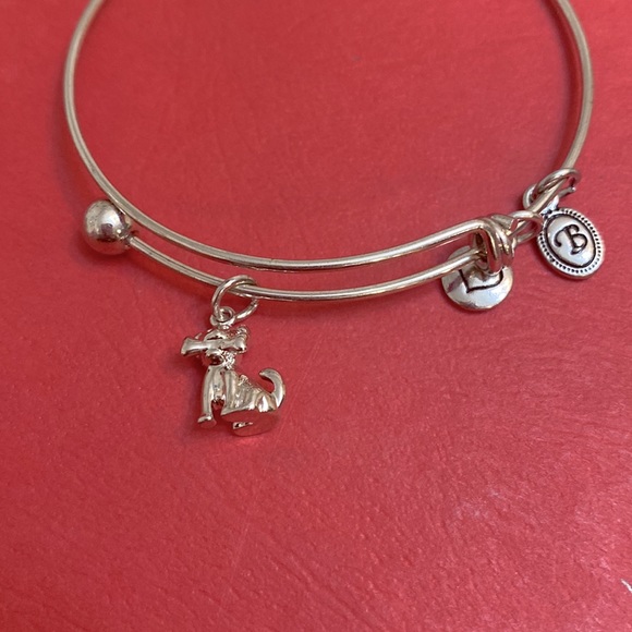 Alex and Ani Dog Silver Tone Bracelet With Bone Initial B - Picture 2 of 3